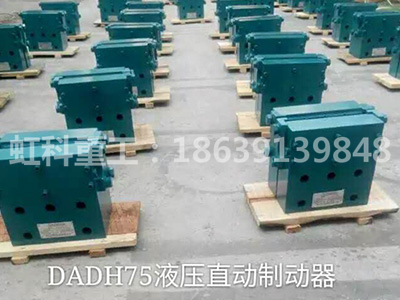 DADH75液压直动制动器